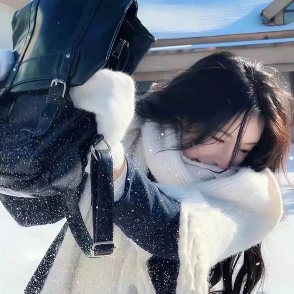 黑蜘蛛